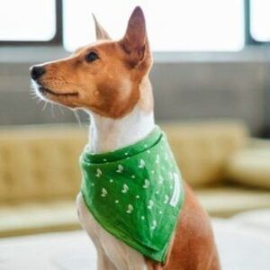 2 Dog Bandanas - Earth Rated Dog Bandana, Bowtie, Scarf, etc. - Light Green